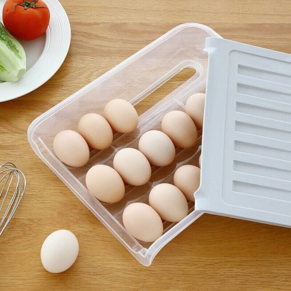 Egg Storage Box-Simple Style