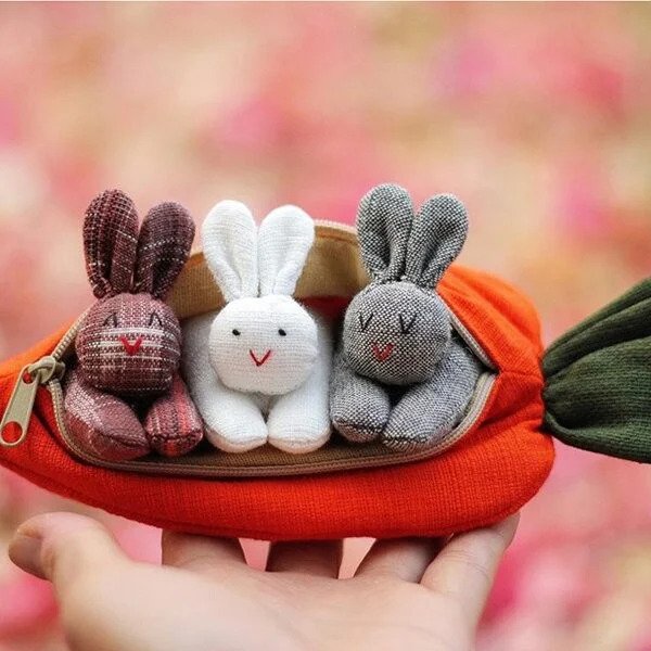 Hide-and-Seek Bunnies in Carrot Pouch