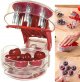 Stainless steel cherry remover